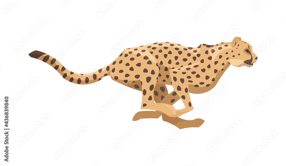 Obraz premium Flat срeetah. Vector illustration