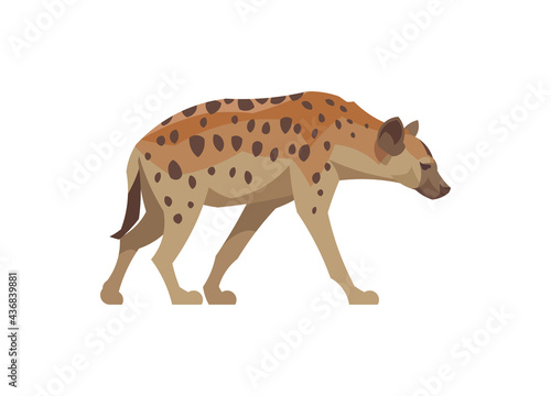 Flat hyena. Vector illustration