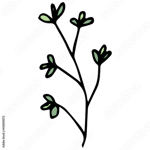 Doodle twig and green leaves. Black outline. Vector plants illustration. White background. Summer and spring greenery.