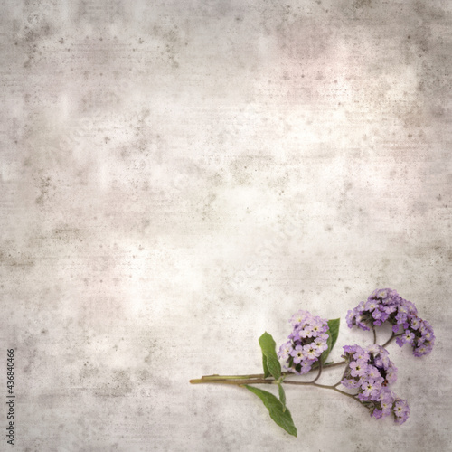 square stylish old textured paper background with small branch of light lilac garden Heliotrope