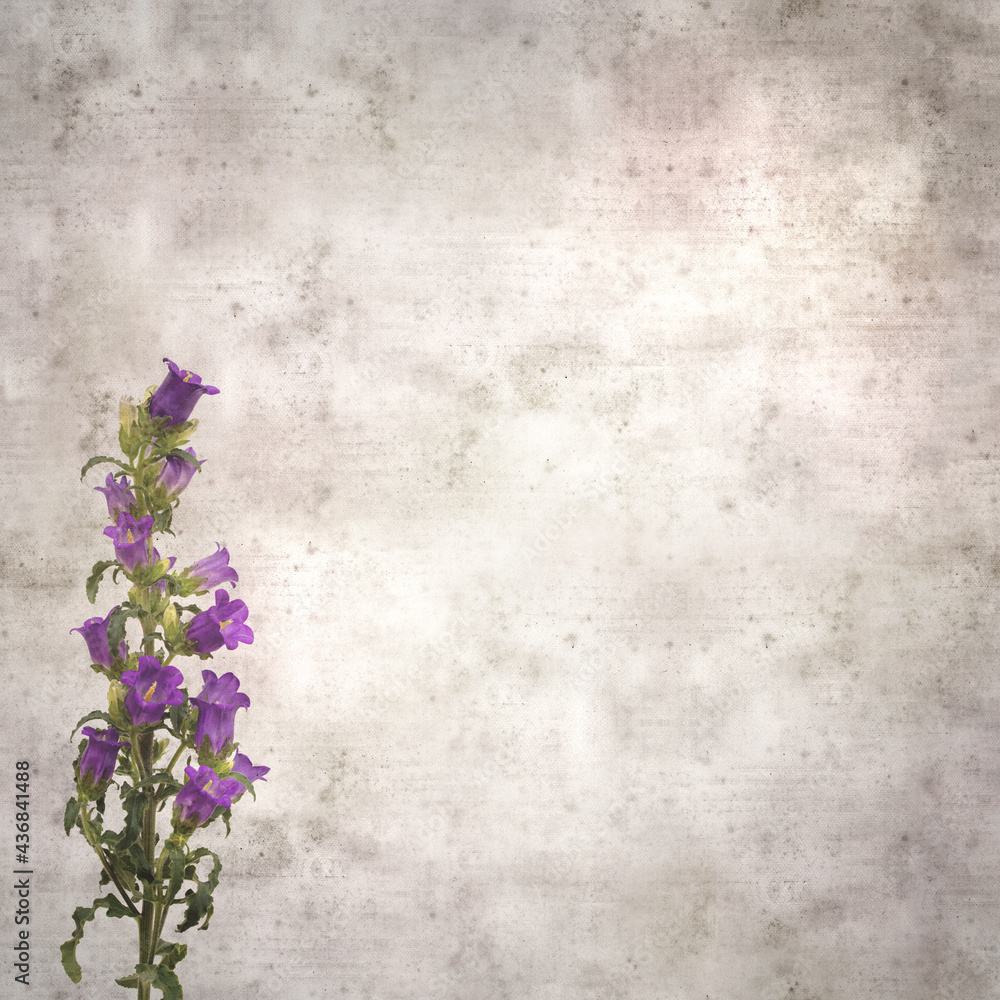 square stylish old textured paper background with dark blue bellflower square stylish old textured paper background with dark blue bellflower