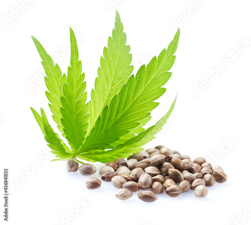 Hemp seeds with cannabis leaves on white background