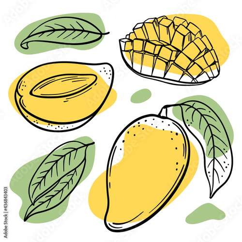 FRESH MANGO Abstract Delicious Tropical Fruits With Leaves And Cut In Half For Design Your Store And Restaurant Menu Hand Drawn In Sketch Vector Illustration Set