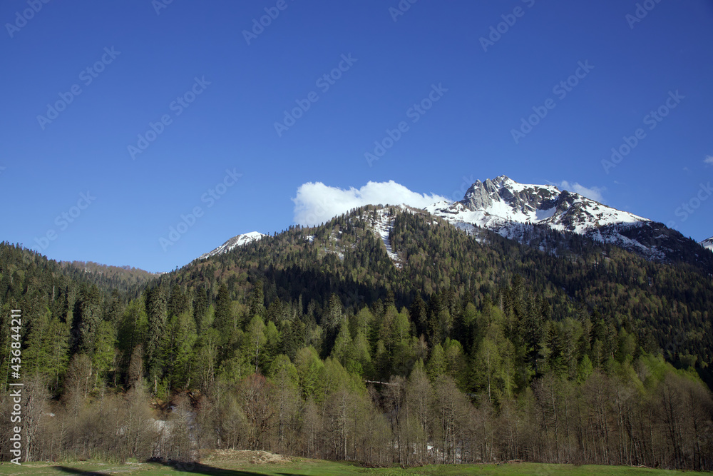 Obraz premium landscape in the mountains