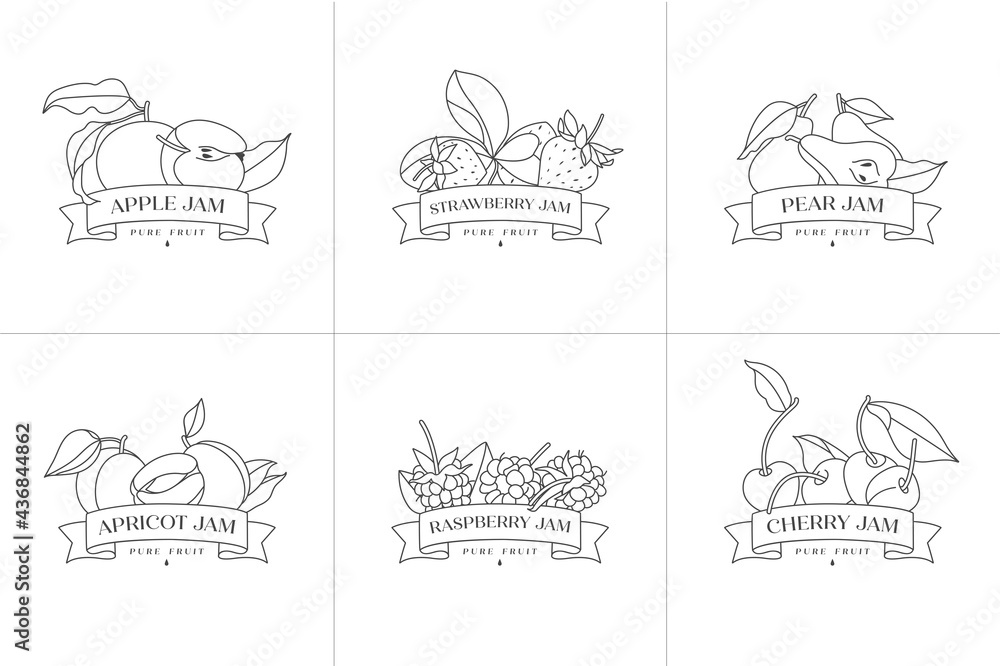 Vector illustration set of retro design labels with apple, apricot, pear, strawberry and raspberry, cherry fruits - simple .linear style. Emblems composition with fruits and typography