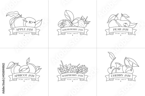 Vector illustration set of retro design labels with apple, apricot, pear, strawberry and raspberry, cherry fruits - simple .linear style. Emblems composition with fruits and typography