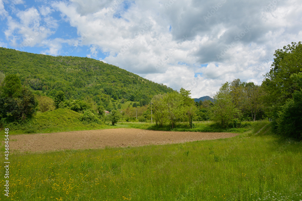 The late May landscape near the village of Cemur in Udine Province, Friuli-Venezia Giulia, north east Italy
The late May landscape near the village of Cemur in Udine Province, Friuli-Venezia Giulia, north east Italy