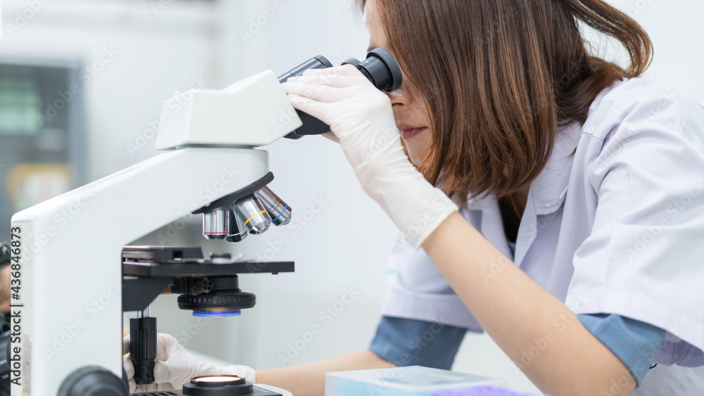 A young scientist woman in a laboratory coat looking through a microscope in a laboratory to do research and experiment. Scientist working in a laboratory. Education stock photo A young scientist woman in a laboratory coat looking through a microscope in a laboratory to do research and experiment. Scientist working in a laboratory. Education stock photo