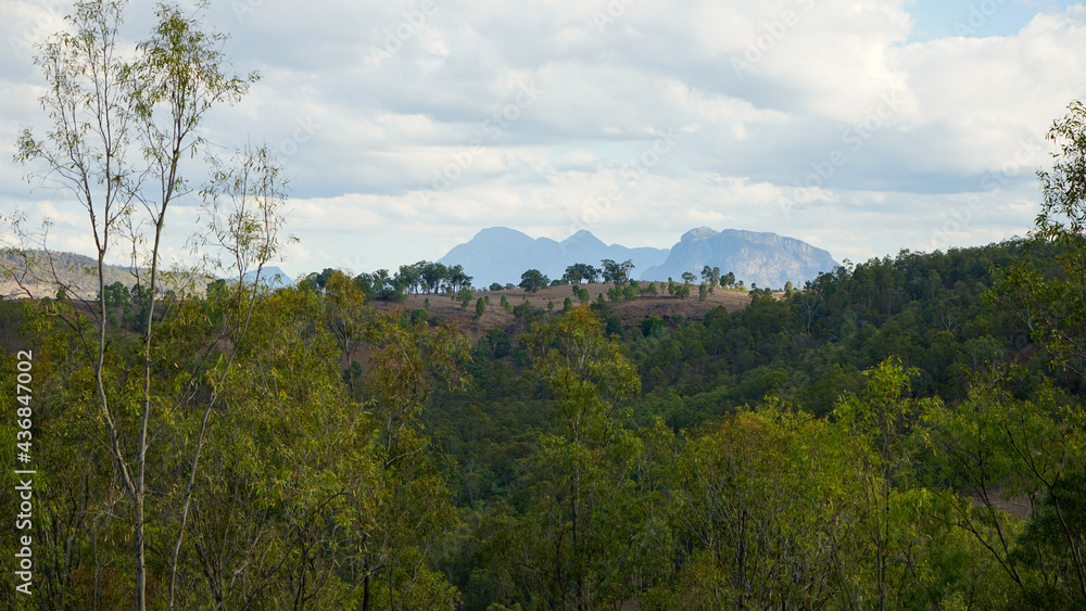 Hilly landscape with trees and distant mountains Hilly landscape with trees and distant mountains