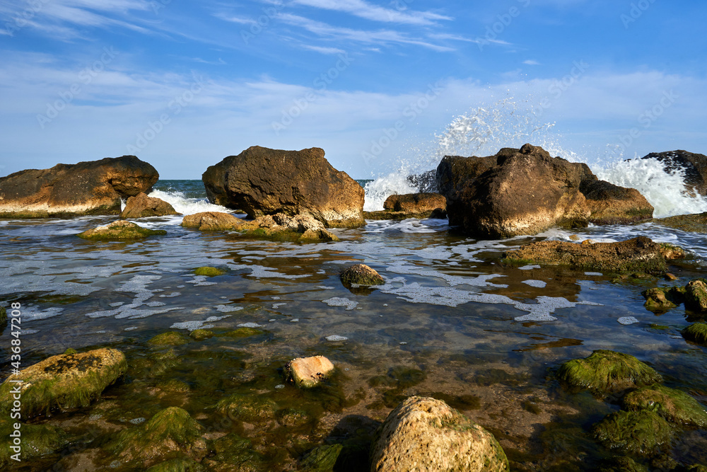 Fototapeta premium Seascape with rocky coast in summer on a sunny day