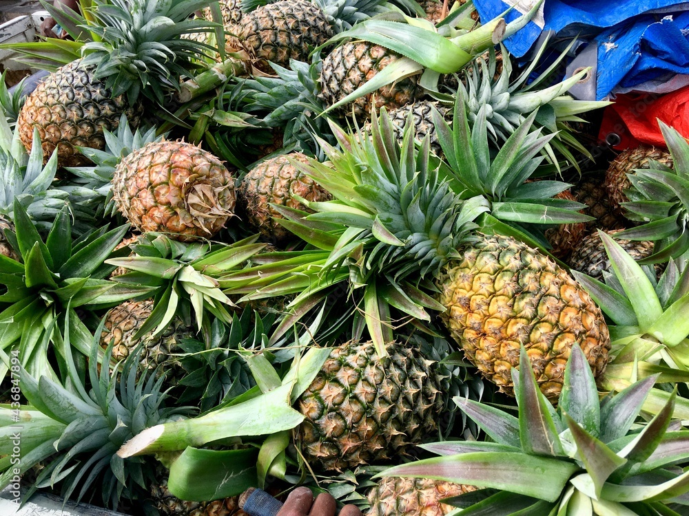 pineapples in a street market in zanzibar pineapples in a street market in zanzibar