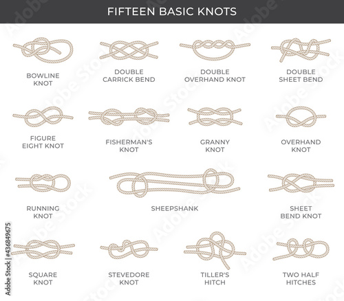 Vector set of fifteen basic nodes with names. Isolated on white background.
