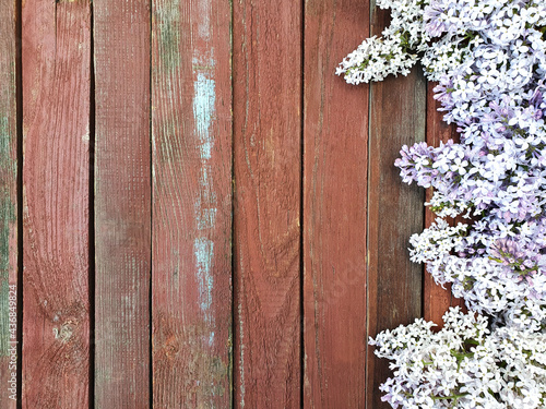 Lilac flower border on old red wood texture background. Spring concept. Floral frame, flatlay, copy space.