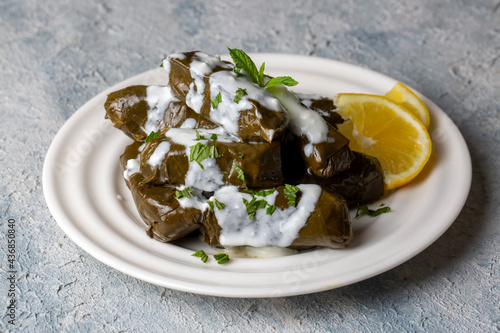 Delicious dolma (sarma) stu...