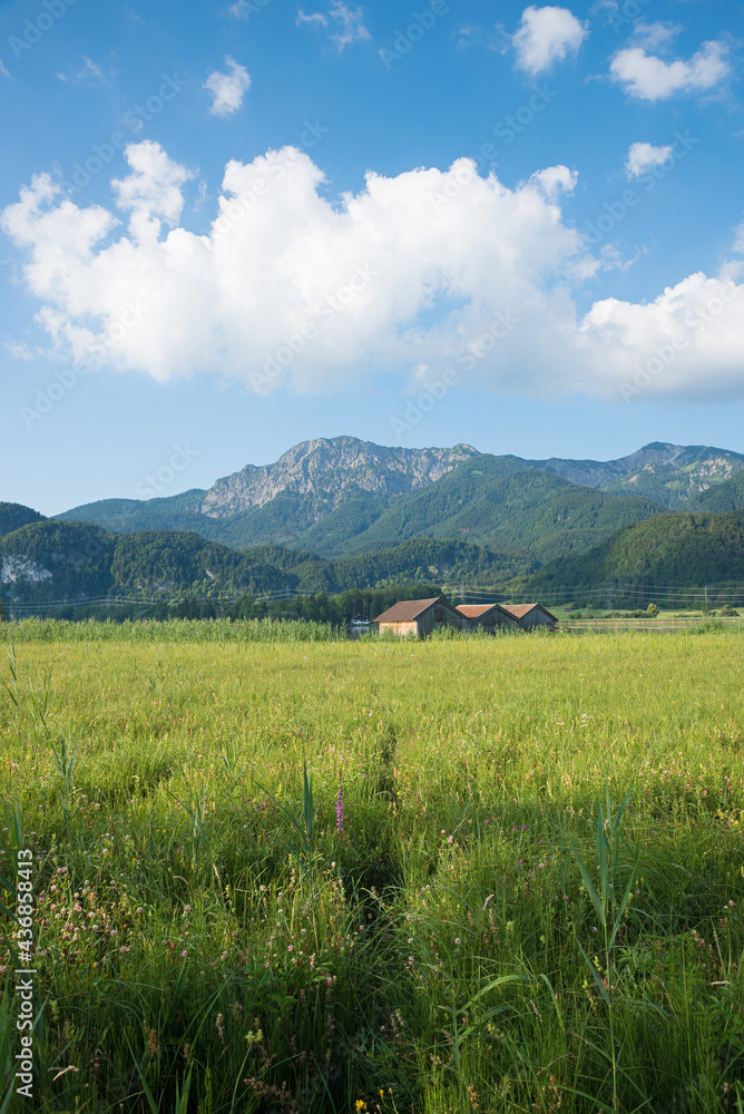 marshland landscape and three boathouses, view to herzogstand mountain marshland landscape and three boathouses, view to herzogstand mountain