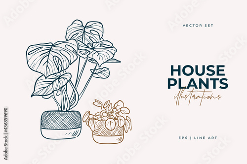 Home plants isolated on a white background. Collection of indoor plants in pots. Home decor. Vector illustration in line style