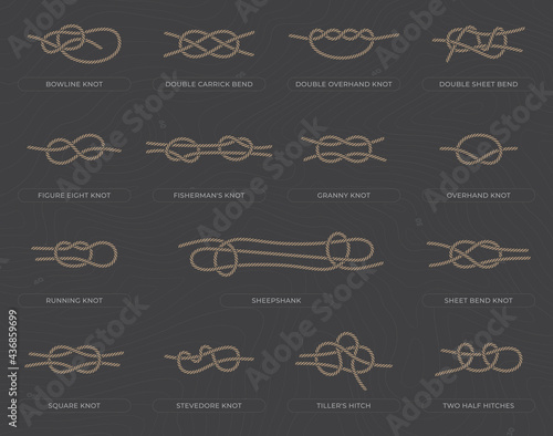 Vector set of fifteen basic nodes with names. Isolated on dark background.
