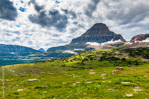 dramatic jagged mountain peak of Mt Reynolds and verdant summer landscape in Logan Pass in the Glacier National Park in Montana.