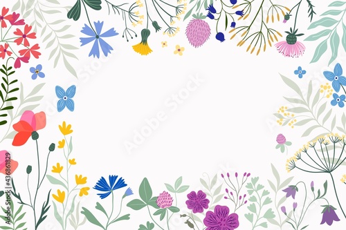 Floral border, decorative frame with meadow flowers and plants, white background