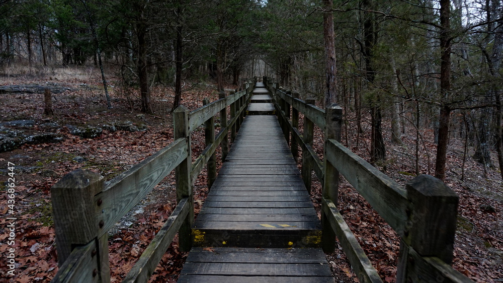 Wooden bridge in the forest Wooden bridge in the forest