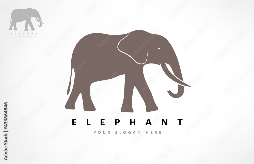 Fototapeta premium Elephant logo vector. Animal design.