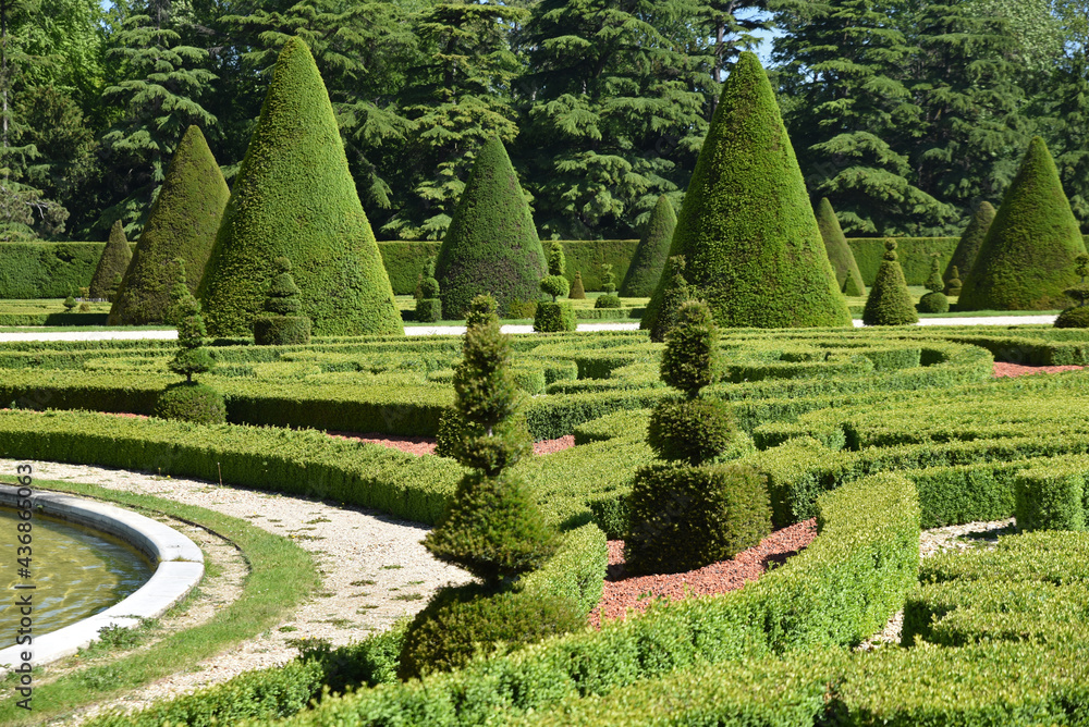 Topiaire au par au printemps