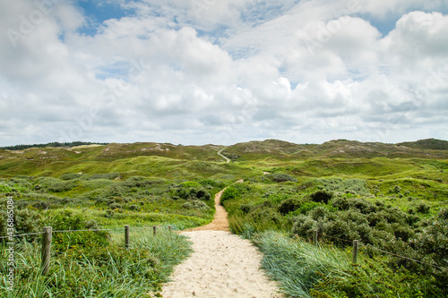 Footpath in the dunes of texel photo