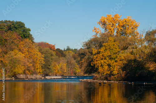 Autumn trees on the lake