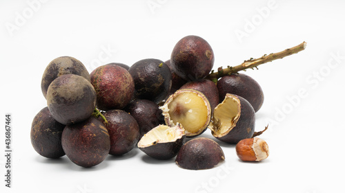 Matoa fruit is known botanically as Pometia pinnata and is a member of the lychee family. They are referred to as a “typical fruit from Papua” and are called Ton or Taun on the island of Papua. photo