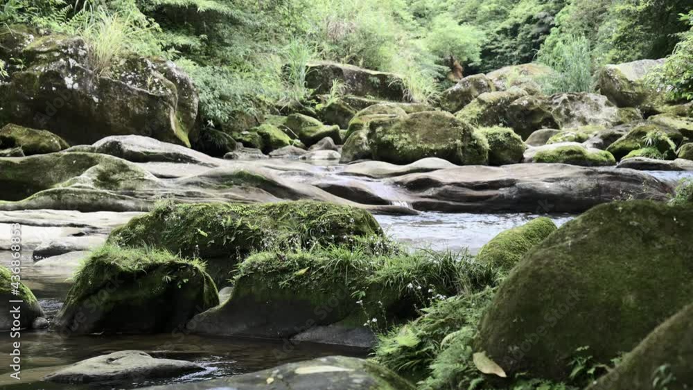 Close view of Wutuxi in Shiding, Taiwan. Water flowing passing by the mossy rock. Close view of Wutuxi in Shiding, Taiwan. Water flowing passing by the mossy rock.