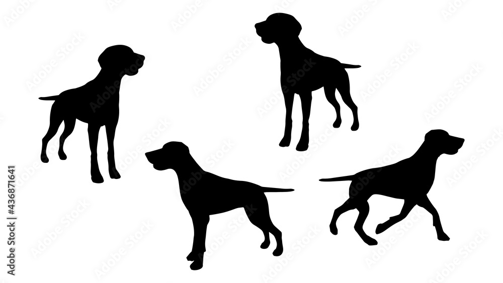set of Dogs vector silhouette illustration isolated on white background