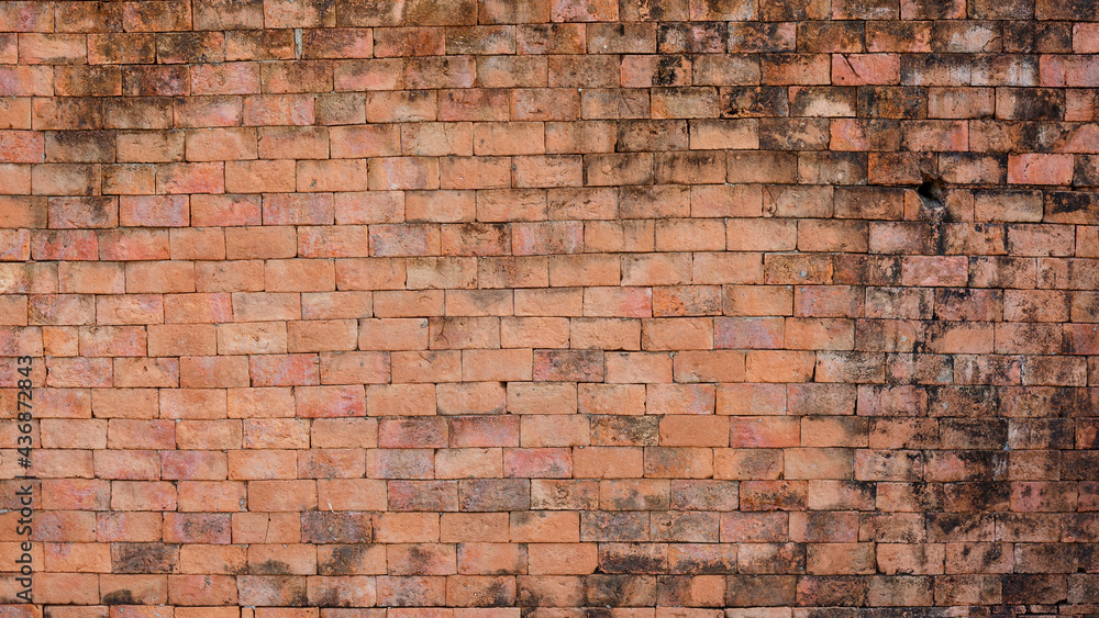 Naklejka premium Old brick wall in a background image