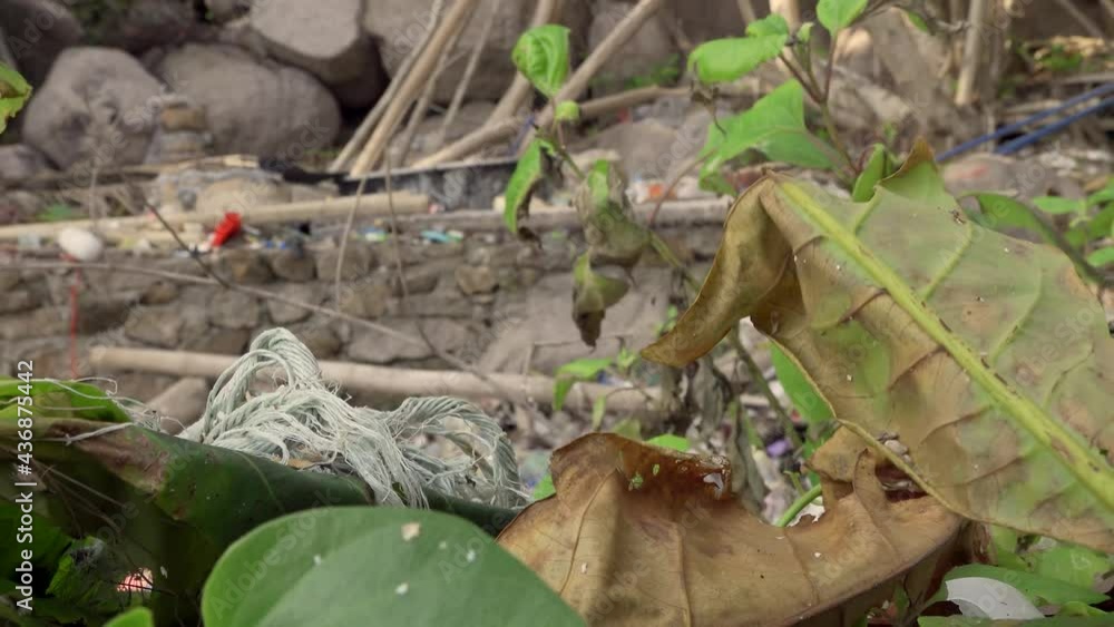 Dying plants from plastic slow focus change zoom out 4K
Asia, Thailand
Filmed with Sony AX700 Dying plants from plastic slow focus change zoom out 4K
Asia, Thailand
Filmed with Sony AX700