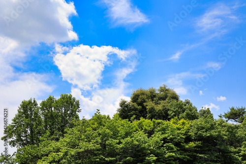 晴れた青空に浮かぶ雲と森 © n.s.d