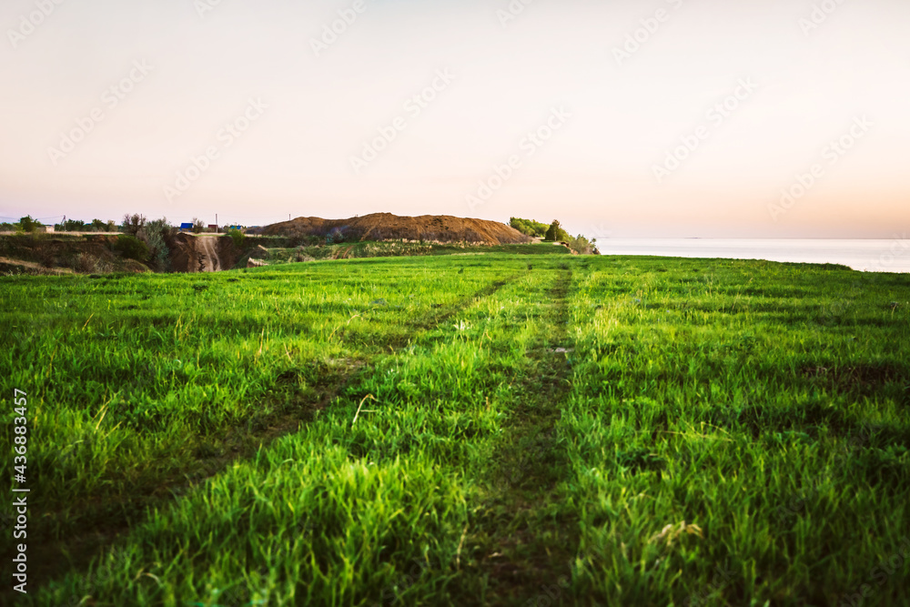 Fototapeta premium A trail in a grass field during sunset, a beautiful evening landscape