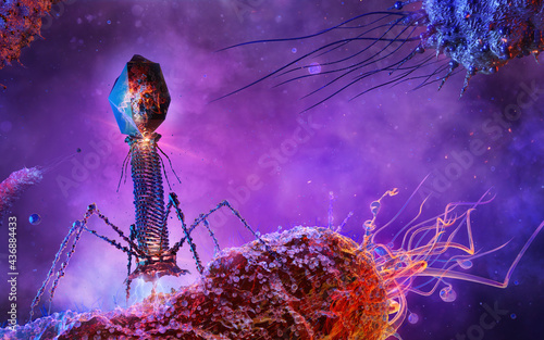 Bacteriophage virus attacking and infecting bacteria. Phage virus T4 infects and replicates within a bacterium by injecting DNA. Infectious disease, cell phage therapy 3d medical science illustration photo