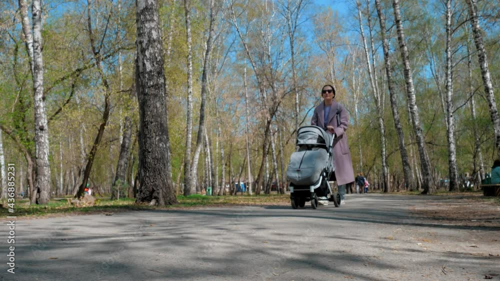 A girl, a young mother or a business woman walks in the park with a stroller. Overall plan A girl, a young mother or a business woman walks in the park with a stroller. Overall plan