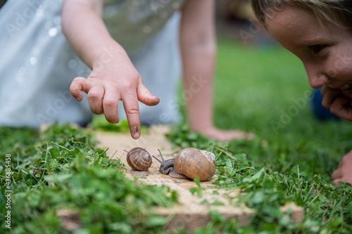 Two toddler kids observing snails #436885458
