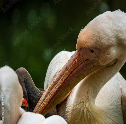 Zoobesuch photo