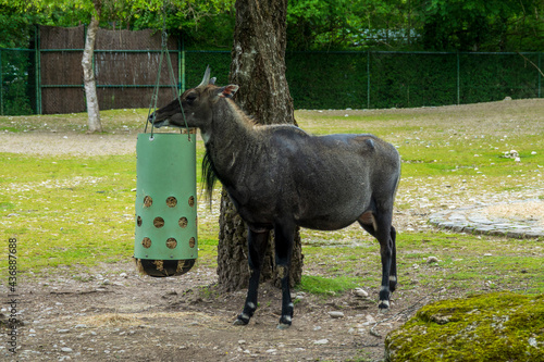 Zoobesuch photo