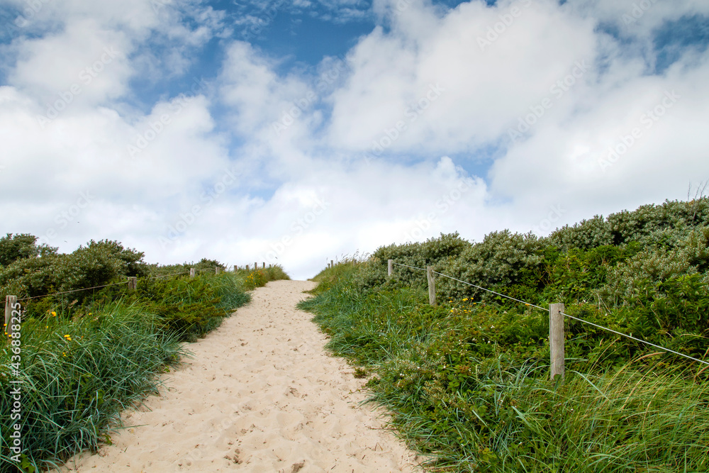Path in the dunes