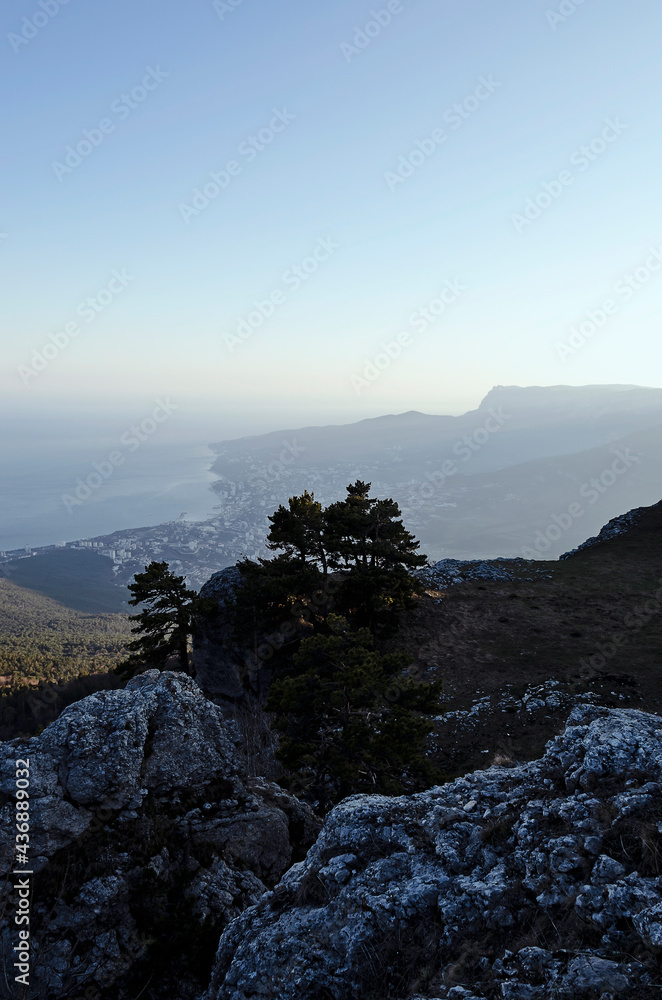 CRIMEA: Sunset scenic landscape view with pines