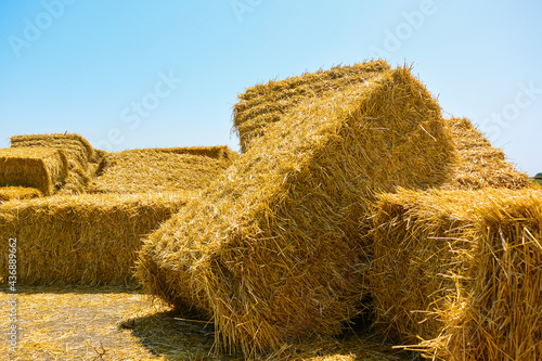 Slika na platnu dry haystack, farming symbol of harvest time