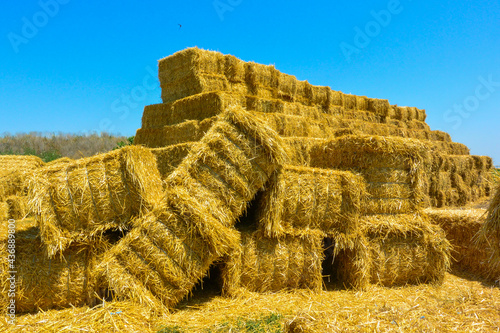 Obraz na plátne dry haystack, farming symbol of harvest time