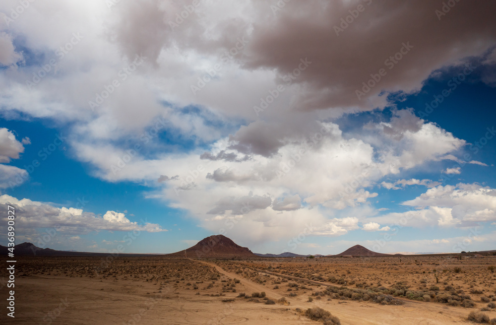 Drought - Mojave desert