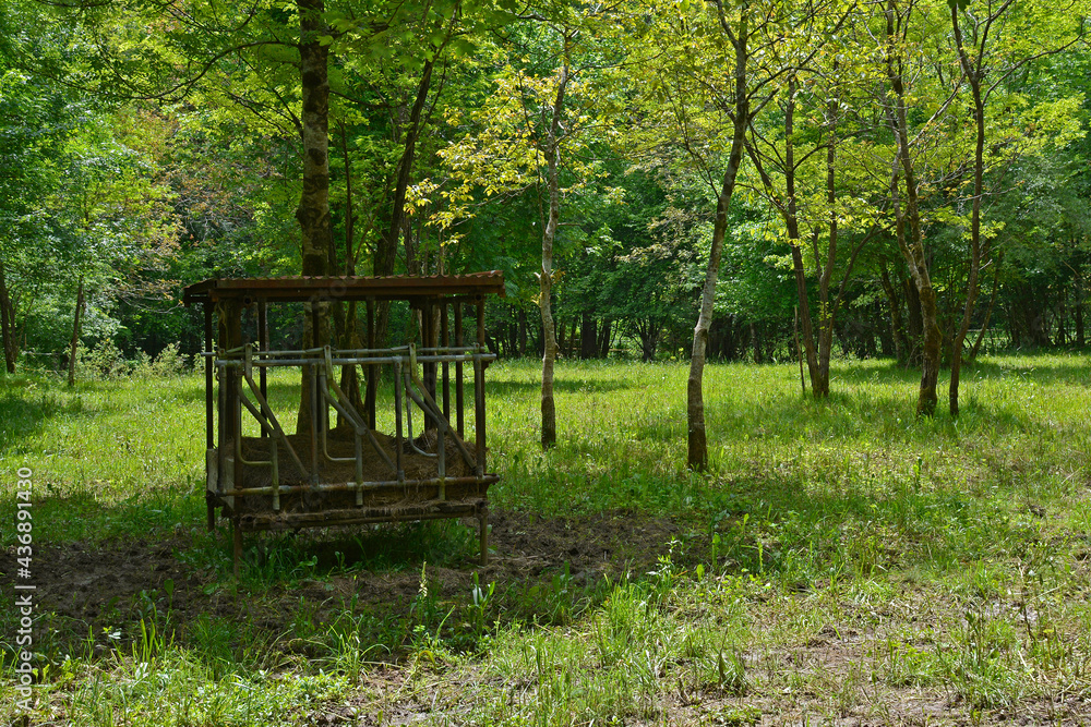 An old wooden cattle feeder in a field in late May near the village of Merso di Sopra in Udine Province, Friuli-Venezia Giulia, north east Italy
An old wooden cattle feeder in a field in late May near the village of Merso di Sopra in Udine Province, Friuli-Venezia Giulia, north east Italy