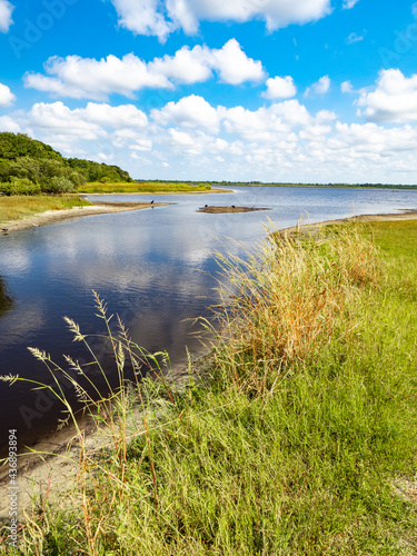 Sunny summer day in Myakka River in Myakka River State Park in Sarasota Florida USA