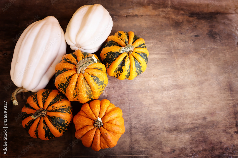 different kinds of pumpkins over wooden old table different kinds of pumpkins over wooden old table