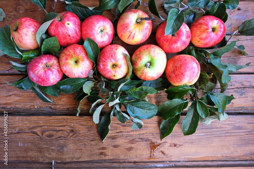 Fresh red-pink striped apples on a wooden brown background. Background with fresh fruit. The view from the top.