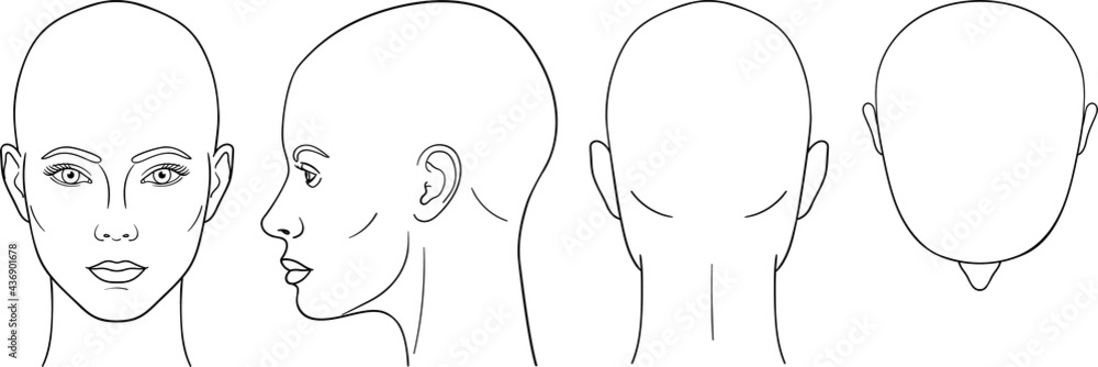 Female head vector illustration in front, back, top, side view Stock Vector  | Adobe Stock